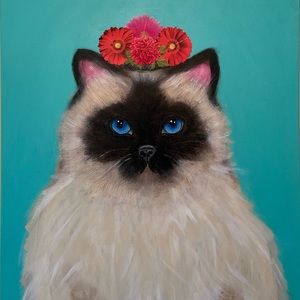 Himalaya longhair cat painting